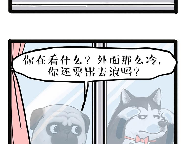 《吾皇巴扎黑》漫画最新章节第137话 泪水，止不住免费下拉式在线观看章节第【42】张图片