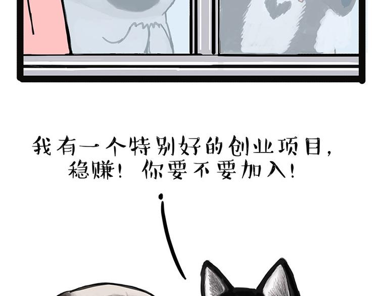 《吾皇巴扎黑》漫画最新章节第137话 泪水，止不住免费下拉式在线观看章节第【43】张图片