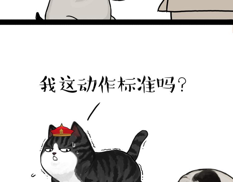 《吾皇巴扎黑》漫画最新章节第138话 来人救驾免费下拉式在线观看章节第【13】张图片