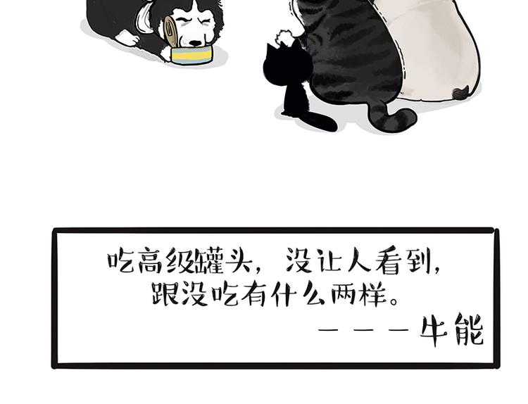 《吾皇巴扎黑》漫画最新章节第139话 作者的死角免费下拉式在线观看章节第【21】张图片