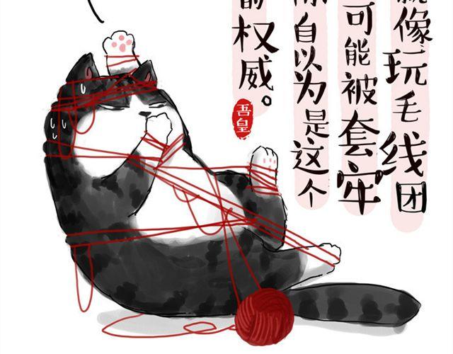 《吾皇巴扎黑》漫画最新章节第15话 猫引发的朋友圈惨案免费下拉式在线观看章节第【2】张图片
