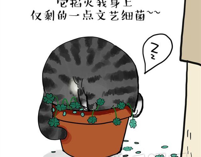 《吾皇巴扎黑》漫画最新章节第15话 猫引发的朋友圈惨案免费下拉式在线观看章节第【20】张图片