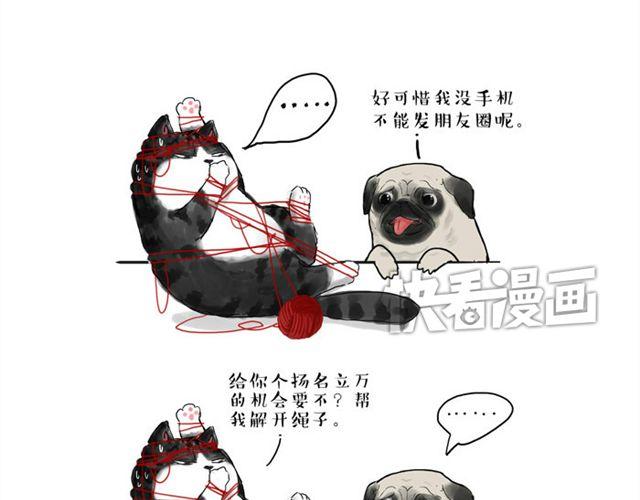 《吾皇巴扎黑》漫画最新章节第15话 猫引发的朋友圈惨案免费下拉式在线观看章节第【3】张图片