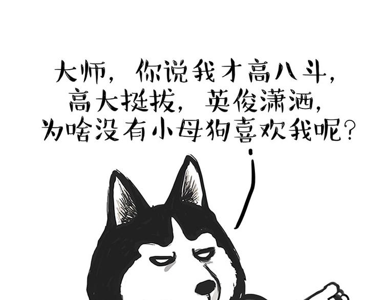 《吾皇巴扎黑》漫画最新章节第146话 科学转运免费下拉式在线观看章节第【16】张图片