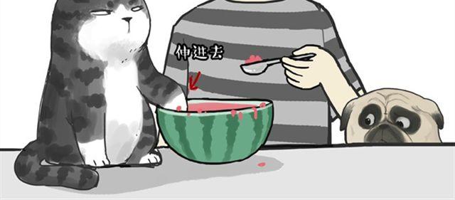 《吾皇巴扎黑》漫画最新章节第16话 我家猫怎么能牺牲色相免费下拉式在线观看章节第【15】张图片