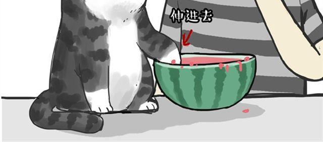 【吾皇巴扎黑】漫画-（第16话 我家猫怎么能牺牲色相）章节漫画下拉式图片-18.jpg