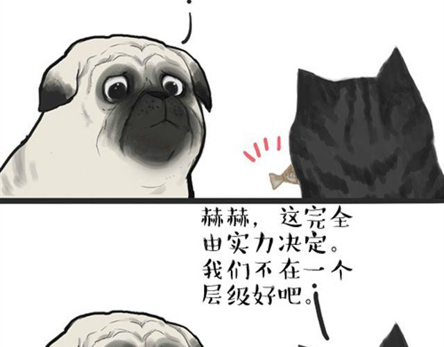 【吾皇巴扎黑】漫画-（第16话 我家猫怎么能牺牲色相）章节漫画下拉式图片-3.jpg