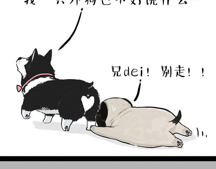《吾皇巴扎黑》漫画最新章节第155话 狗之礼仪免费下拉式在线观看章节第【18】张图片