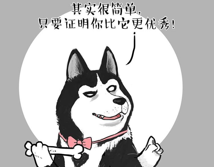 《吾皇巴扎黑》漫画最新章节第155话 狗之礼仪免费下拉式在线观看章节第【19】张图片