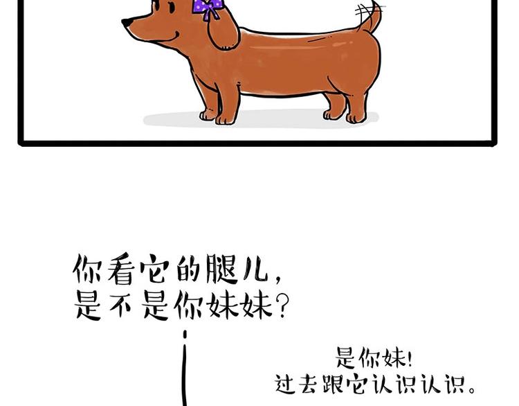 《吾皇巴扎黑》漫画最新章节第155话 狗之礼仪免费下拉式在线观看章节第【2】张图片