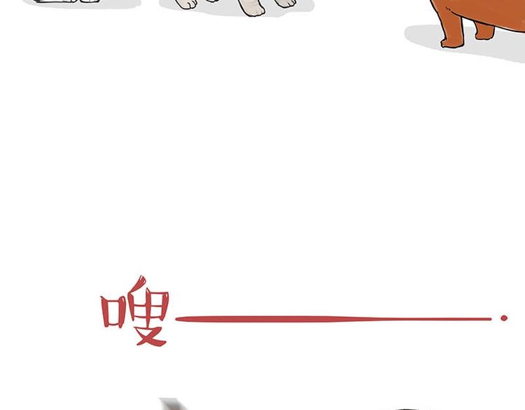 《吾皇巴扎黑》漫画最新章节第155话 狗之礼仪免费下拉式在线观看章节第【21】张图片