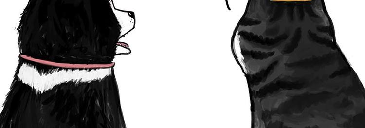 《吾皇巴扎黑》漫画最新章节第155话 狗之礼仪免费下拉式在线观看章节第【39】张图片