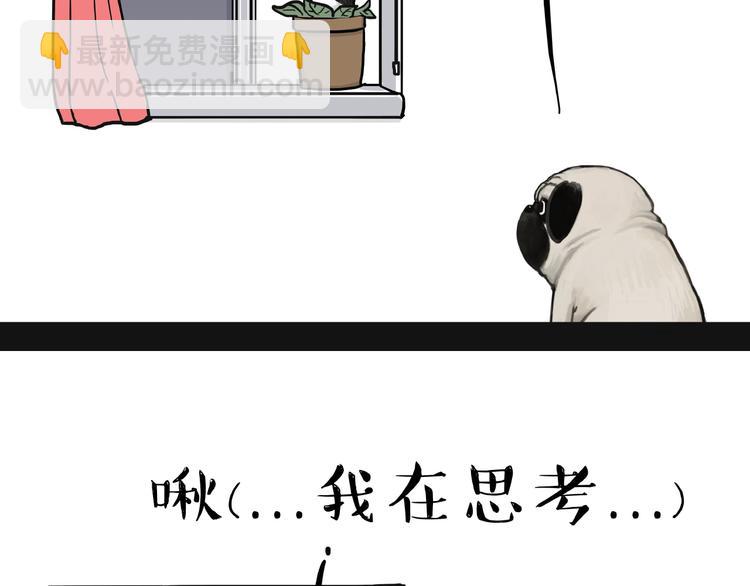 《吾皇巴扎黑》漫画最新章节第157话 一颗蛋蛋免费下拉式在线观看章节第【3】张图片