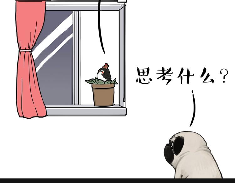 《吾皇巴扎黑》漫画最新章节第157话 一颗蛋蛋免费下拉式在线观看章节第【4】张图片