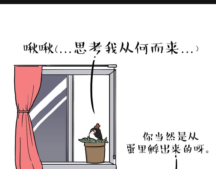 《吾皇巴扎黑》漫画最新章节第157话 一颗蛋蛋免费下拉式在线观看章节第【5】张图片