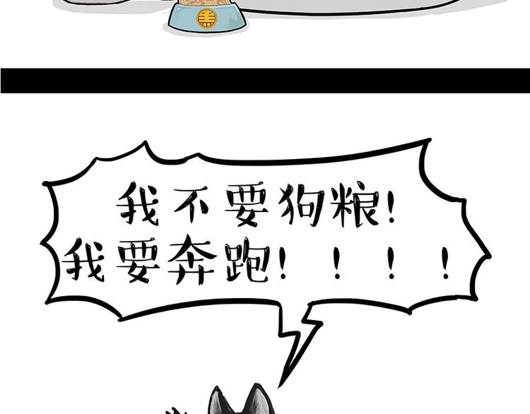 《吾皇巴扎黑》漫画最新章节第160话 最差的一届哈士奇！免费下拉式在线观看章节第【21】张图片