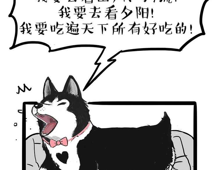 《吾皇巴扎黑》漫画最新章节第160话 最差的一届哈士奇！免费下拉式在线观看章节第【23】张图片