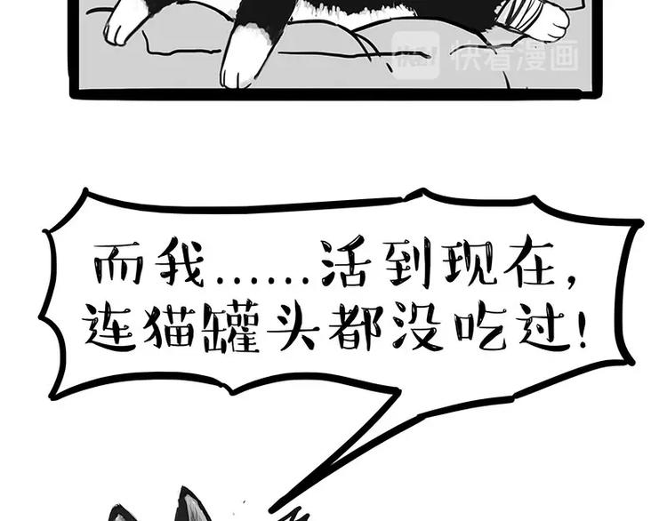 《吾皇巴扎黑》漫画最新章节第160话 最差的一届哈士奇！免费下拉式在线观看章节第【24】张图片