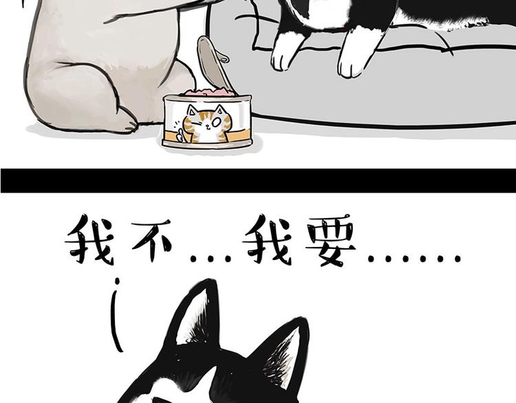 《吾皇巴扎黑》漫画最新章节第160话 最差的一届哈士奇！免费下拉式在线观看章节第【33】张图片