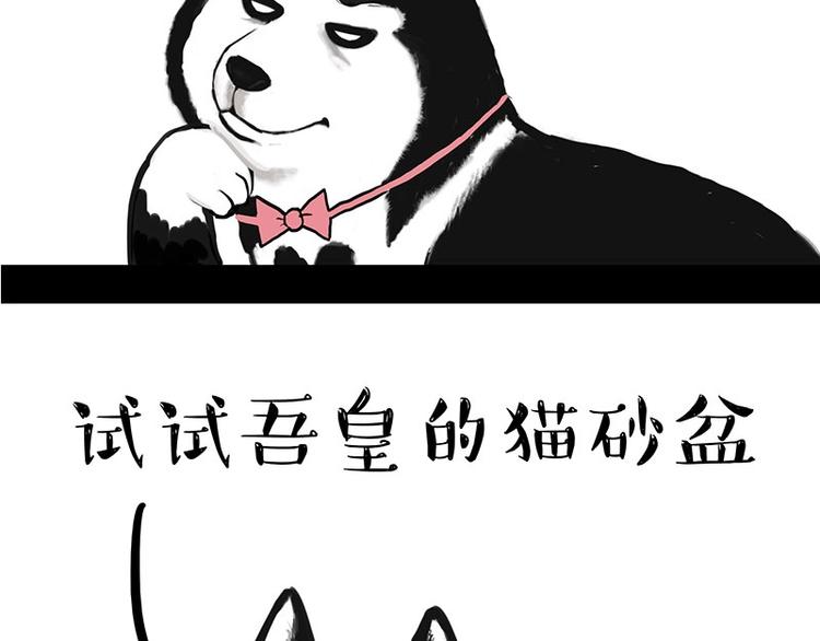 《吾皇巴扎黑》漫画最新章节第160话 最差的一届哈士奇！免费下拉式在线观看章节第【34】张图片