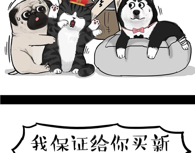 《吾皇巴扎黑》漫画最新章节第160话 最差的一届哈士奇！免费下拉式在线观看章节第【42】张图片