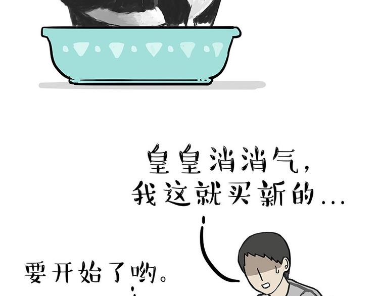 《吾皇巴扎黑》漫画最新章节第160话 最差的一届哈士奇！免费下拉式在线观看章节第【46】张图片