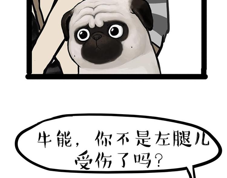 《吾皇巴扎黑》漫画最新章节第160话 最差的一届哈士奇！免费下拉式在线观看章节第【48】张图片