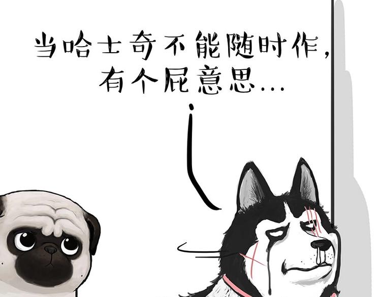 《吾皇巴扎黑》漫画最新章节第160话 最差的一届哈士奇！免费下拉式在线观看章节第【61】张图片