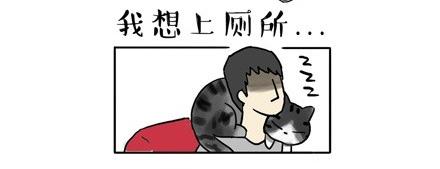 《吾皇巴扎黑》漫画最新章节第17话 尽我所能，不打扰你免费下拉式在线观看章节第【2】张图片