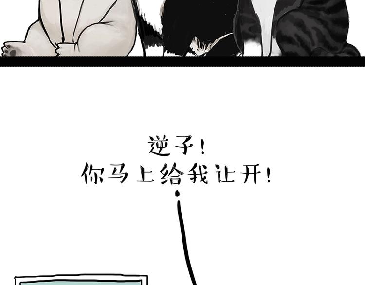 《吾皇巴扎黑》漫画最新章节第162话 喵星人选美大赛免费下拉式在线观看章节第【46】张图片