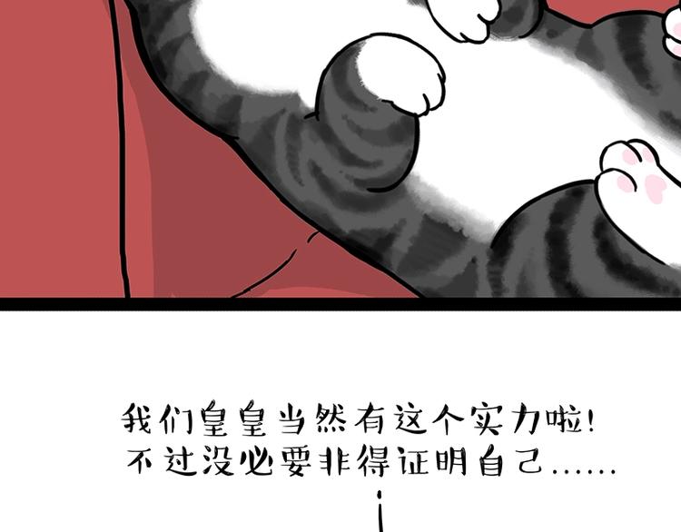 《吾皇巴扎黑》漫画最新章节第162话 喵星人选美大赛免费下拉式在线观看章节第【5】张图片