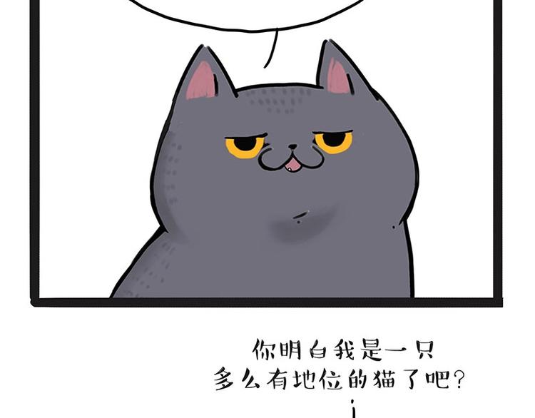 《吾皇巴扎黑》漫画最新章节第165话 吾皇遇见少年之前免费下拉式在线观看章节第【34】张图片