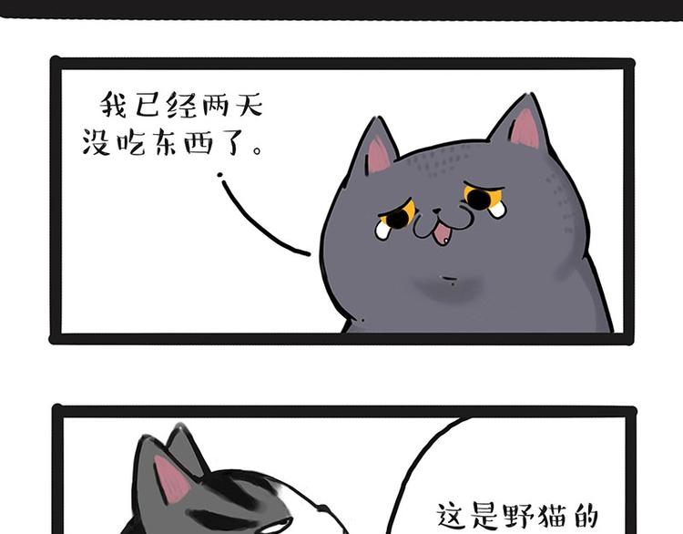 《吾皇巴扎黑》漫画最新章节第165话 吾皇遇见少年之前免费下拉式在线观看章节第【39】张图片