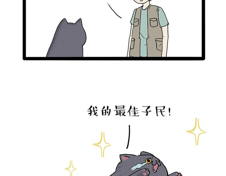 《吾皇巴扎黑》漫画最新章节第165话 吾皇遇见少年之前免费下拉式在线观看章节第【45】张图片