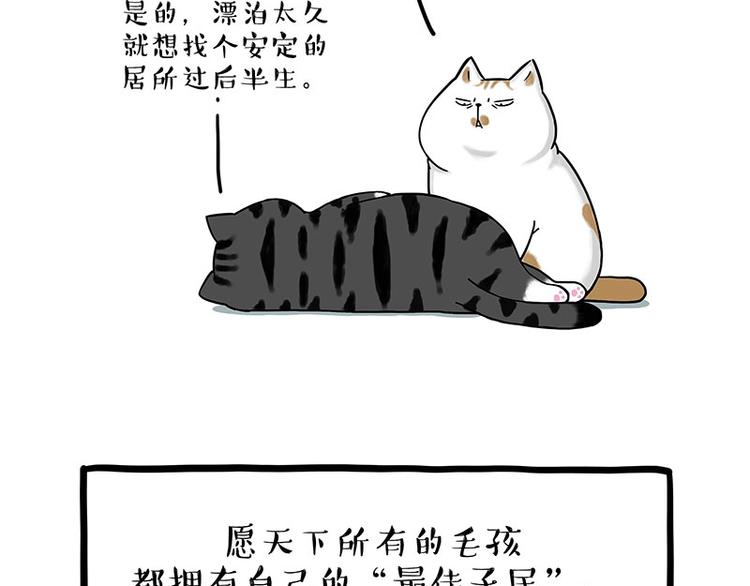 《吾皇巴扎黑》漫画最新章节第165话 吾皇遇见少年之前免费下拉式在线观看章节第【56】张图片