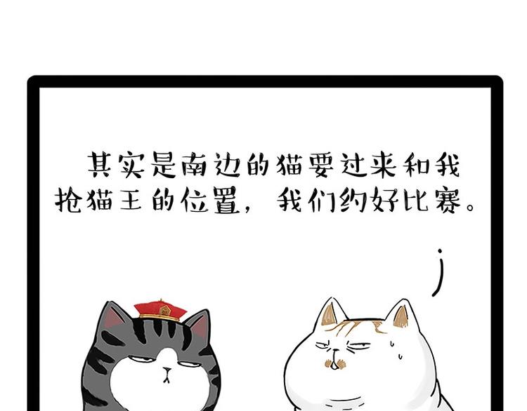 《吾皇巴扎黑》漫画最新章节第167话 猫王争霸赛免费下拉式在线观看章节第【10】张图片