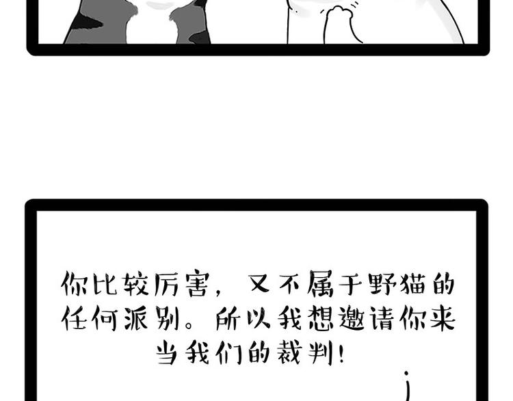 《吾皇巴扎黑》漫画最新章节第167话 猫王争霸赛免费下拉式在线观看章节第【11】张图片