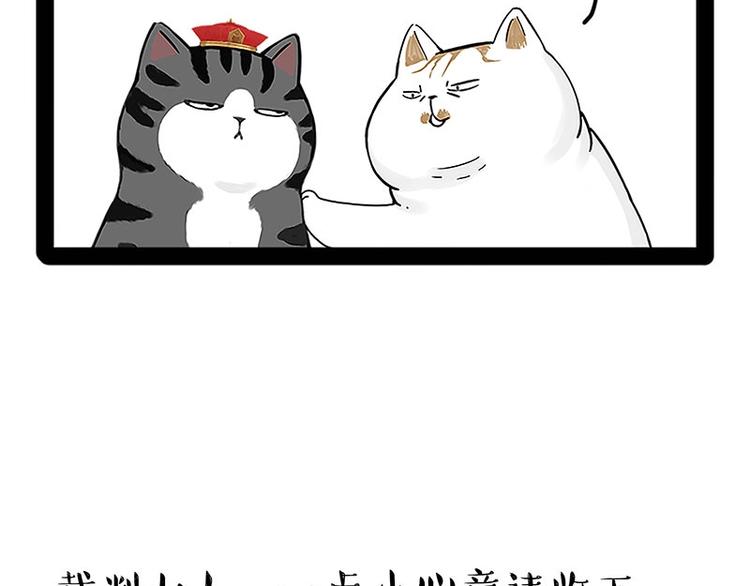 《吾皇巴扎黑》漫画最新章节第167话 猫王争霸赛免费下拉式在线观看章节第【12】张图片