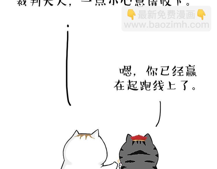 《吾皇巴扎黑》漫画最新章节第167话 猫王争霸赛免费下拉式在线观看章节第【13】张图片