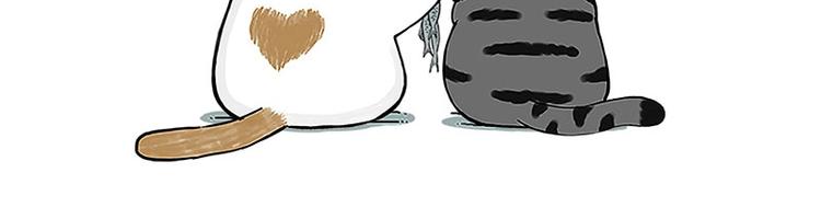 《吾皇巴扎黑》漫画最新章节第167话 猫王争霸赛免费下拉式在线观看章节第【14】张图片