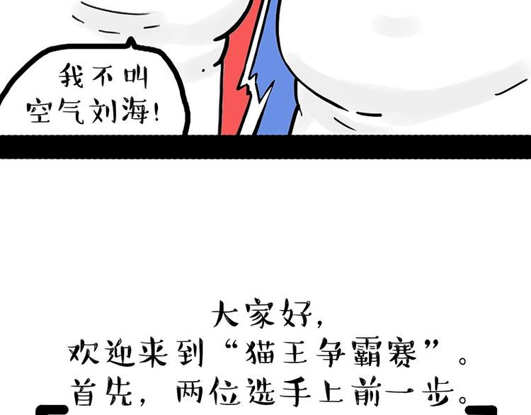 《吾皇巴扎黑》漫画最新章节第167话 猫王争霸赛免费下拉式在线观看章节第【19】张图片