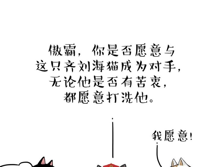 《吾皇巴扎黑》漫画最新章节第167话 猫王争霸赛免费下拉式在线观看章节第【21】张图片