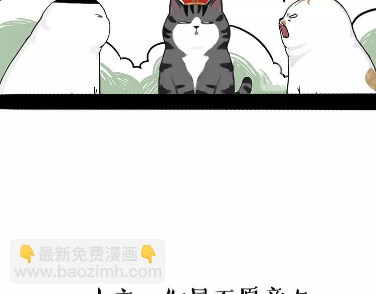 《吾皇巴扎黑》漫画最新章节第167话 猫王争霸赛免费下拉式在线观看章节第【22】张图片