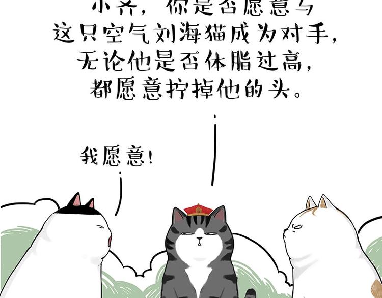 《吾皇巴扎黑》漫画最新章节第167话 猫王争霸赛免费下拉式在线观看章节第【23】张图片