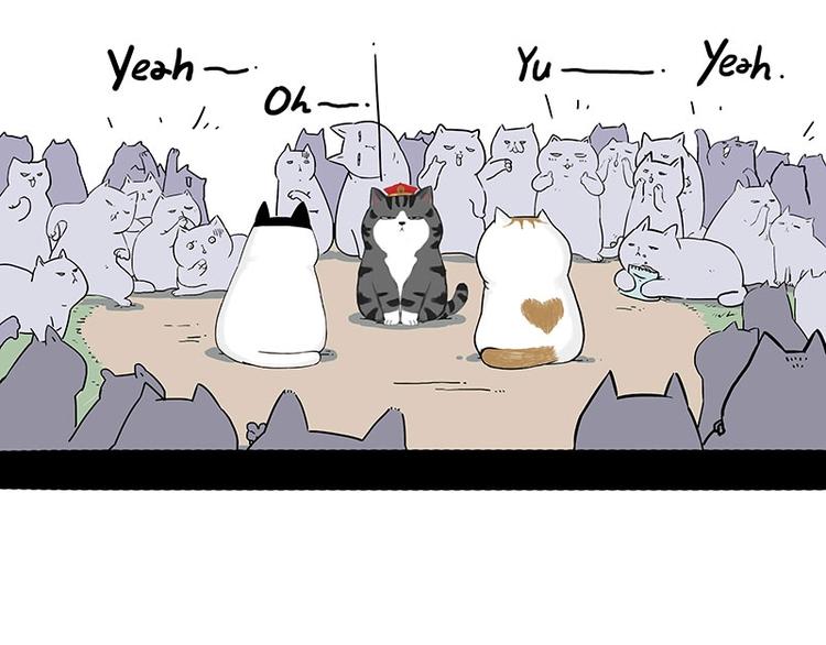 《吾皇巴扎黑》漫画最新章节第167话 猫王争霸赛免费下拉式在线观看章节第【25】张图片