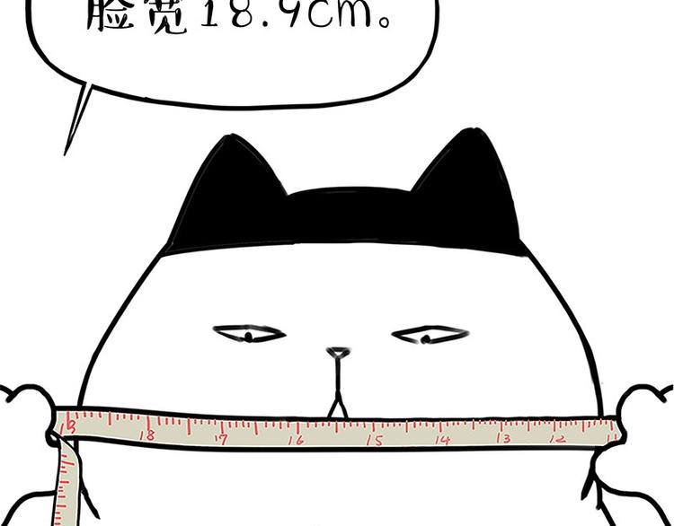 《吾皇巴扎黑》漫画最新章节第167话 猫王争霸赛免费下拉式在线观看章节第【30】张图片