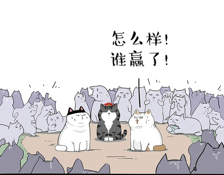 《吾皇巴扎黑》漫画最新章节第167话 猫王争霸赛免费下拉式在线观看章节第【45】张图片