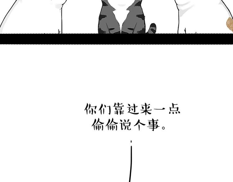 《吾皇巴扎黑》漫画最新章节第167话 猫王争霸赛免费下拉式在线观看章节第【47】张图片