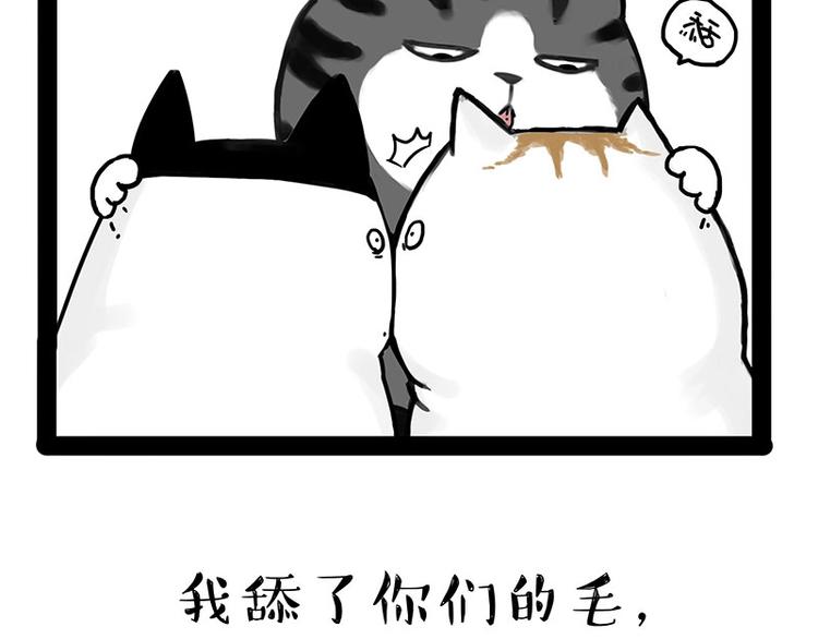 《吾皇巴扎黑》漫画最新章节第167话 猫王争霸赛免费下拉式在线观看章节第【54】张图片