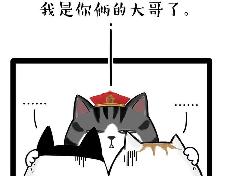 《吾皇巴扎黑》漫画最新章节第167话 猫王争霸赛免费下拉式在线观看章节第【55】张图片